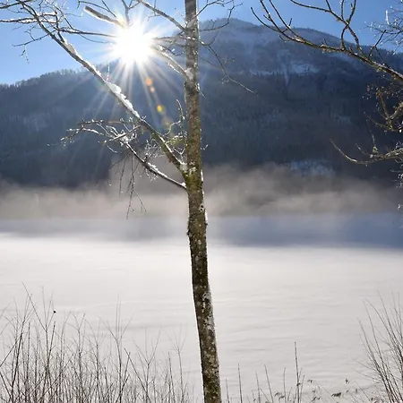 Bergsee Lunz am See